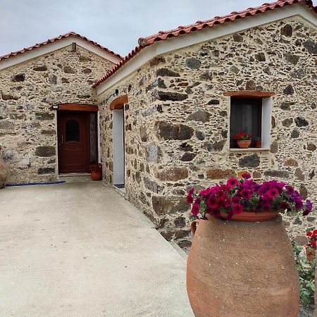 Alexander'S Cottage Limni  Dış mekan fotoğraf