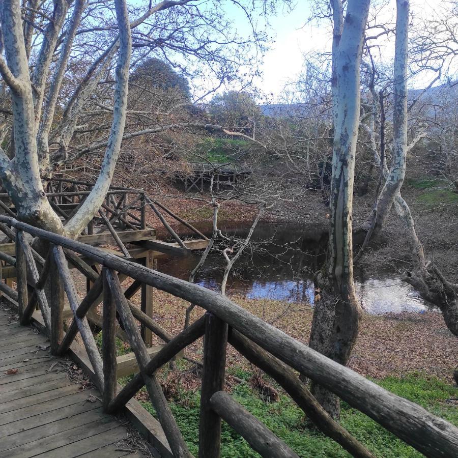 Alexander'S Cottage Limni  Dış mekan fotoğraf